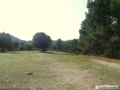 Cerro de la Camorza: Vistas Impresionantes de La Pedriza y el Yelmo;la pedriza charca verde excursio